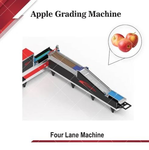 INDUSTRIAL FRUIT SORTING MACHINE - 4