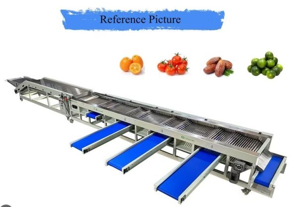 INDUSTRIAL FRUIT SORTING MACHINE - 3