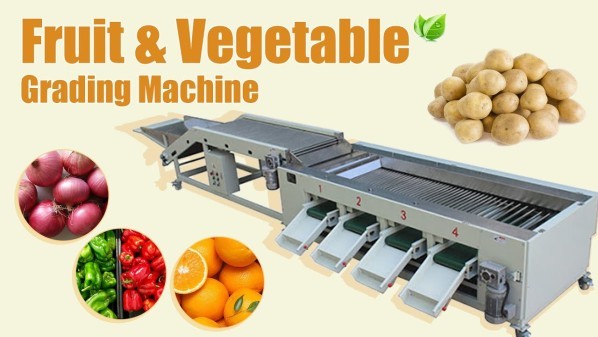 INDUSTRIAL FRUIT SORTING MACHINE - 1