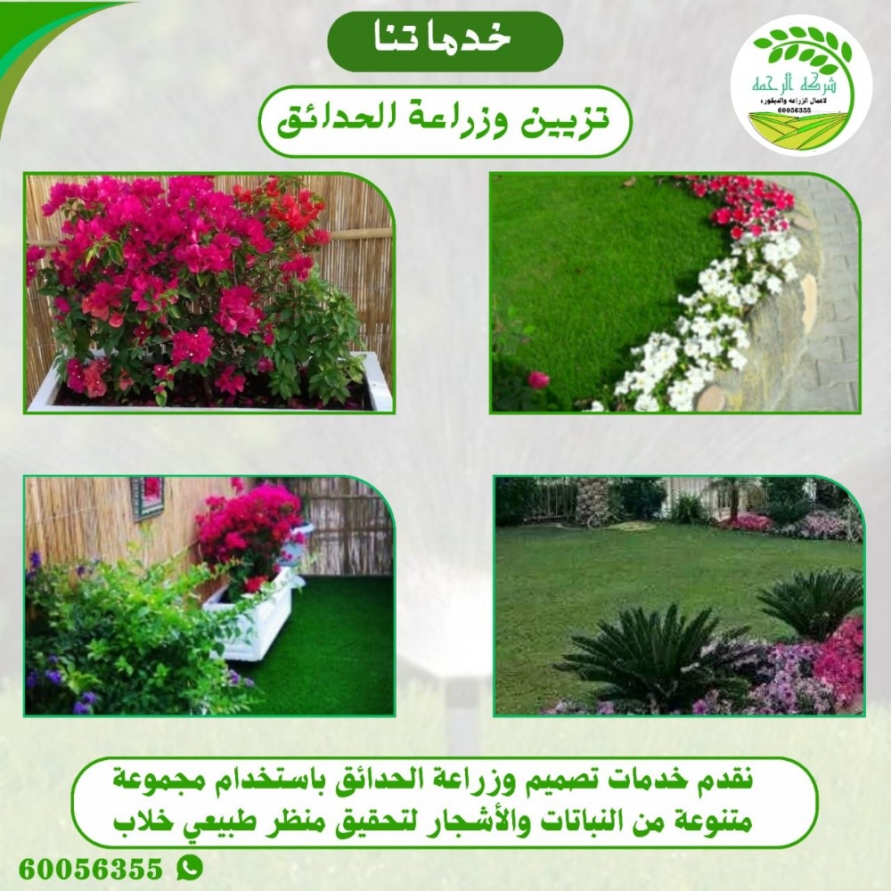 نخل للبيع - 2