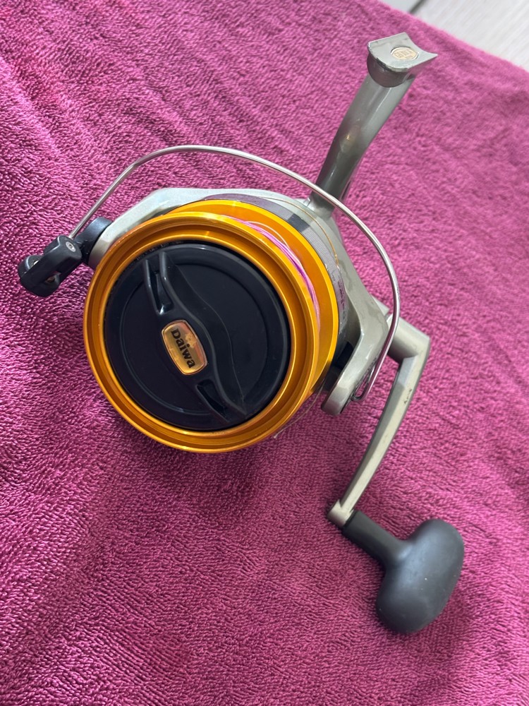 Diwa Fishing rod - 1