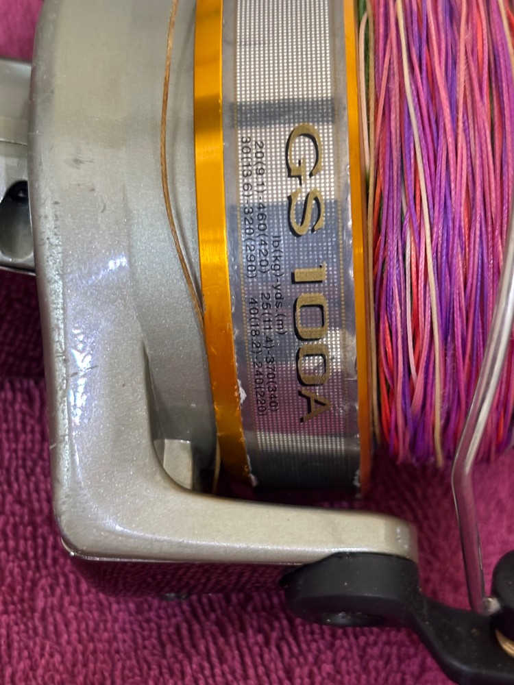 Diwa Fishing rod - 3