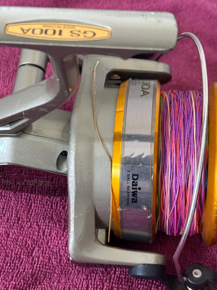Diwa Fishing rod - 4