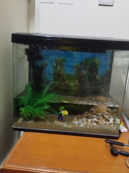 Aquarium for sale - 1