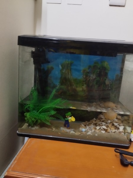 Aquarium for sale - 2