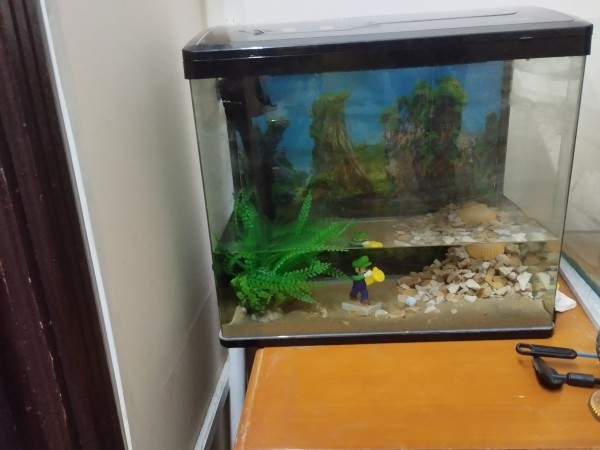 Aquarium for sale - 5