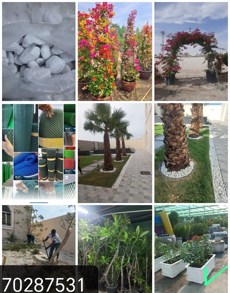 Garden new landscape - 15