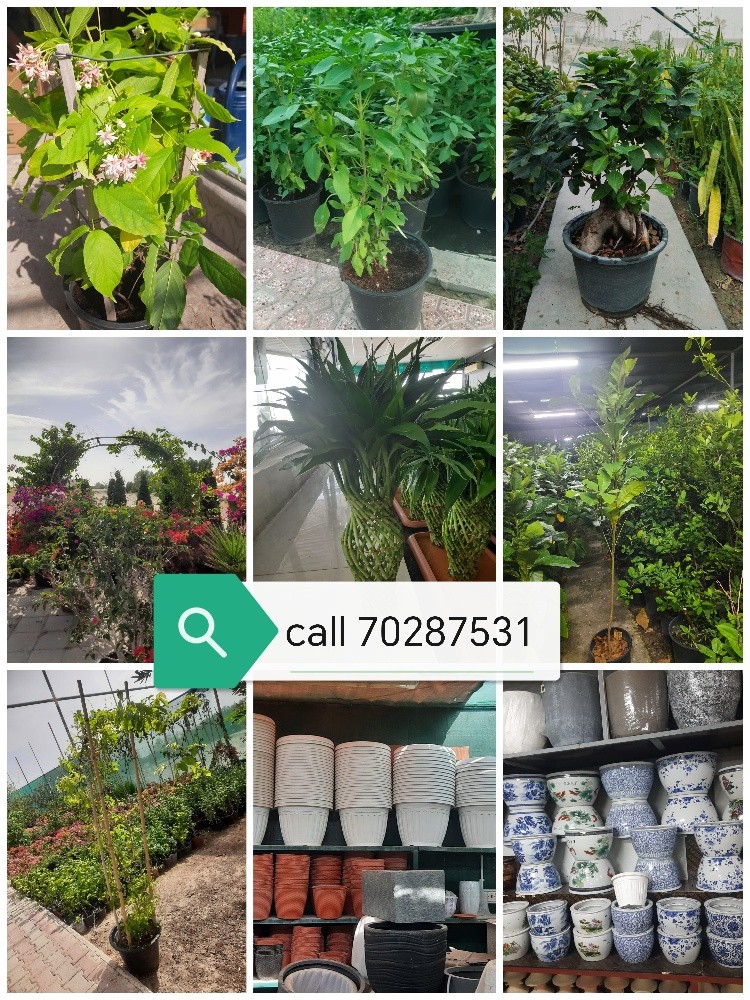 Garden new landscape - 14