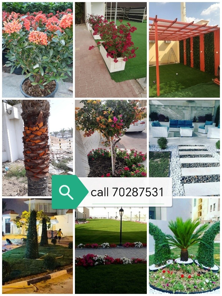 Garden new landscape - 12