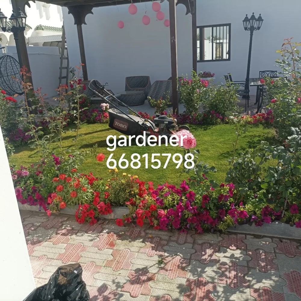 Qatar gardener - 5