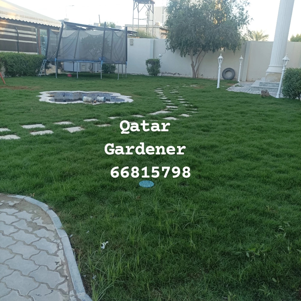 Qatar gardener - 1