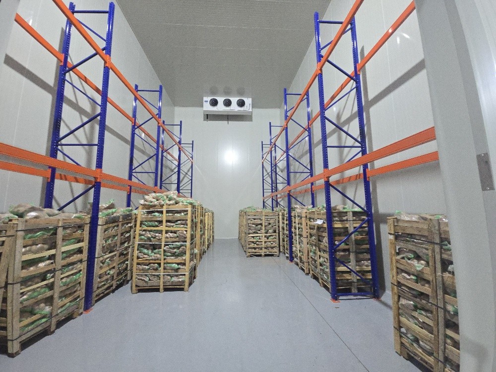 For sale: Food warehouse area of - 6