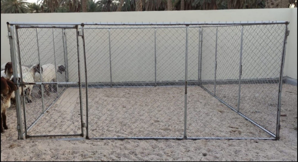 شابوك - 2