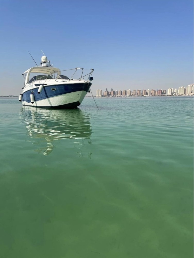 For sale30 feet Monaya Mini yacht - 5