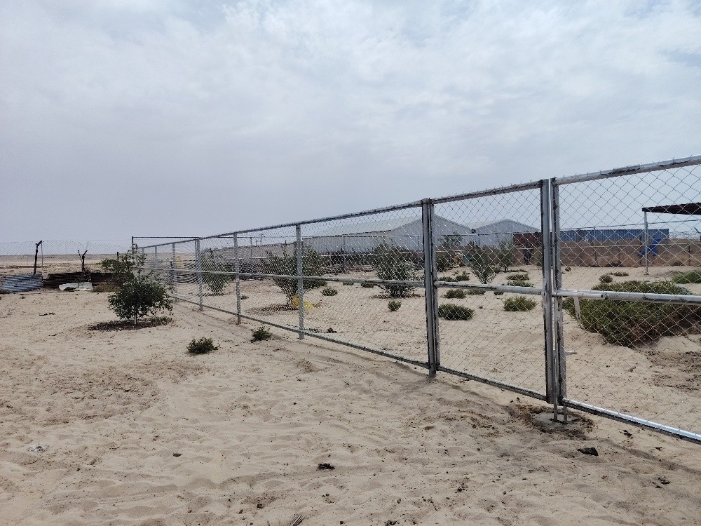 حدود شابوك - 3