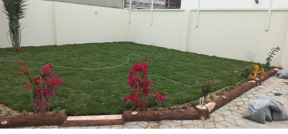 العشب - 3