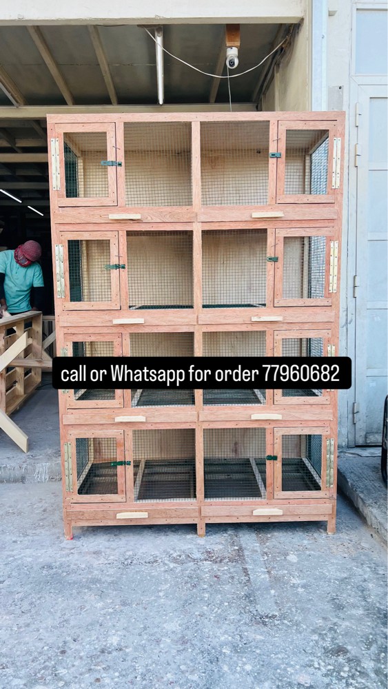 New cage For the pigeon - 1
