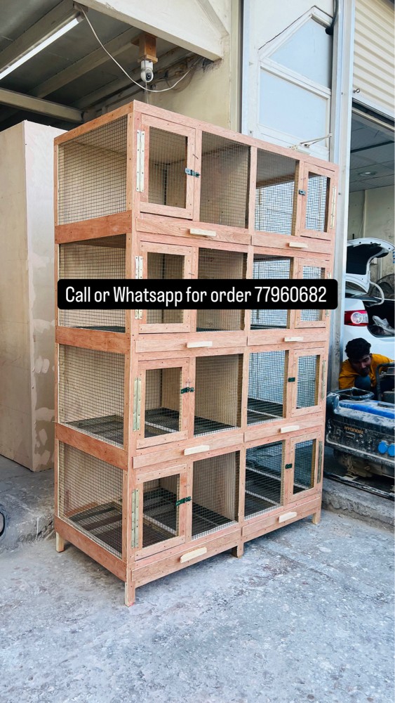 New cage For the pigeon - 2