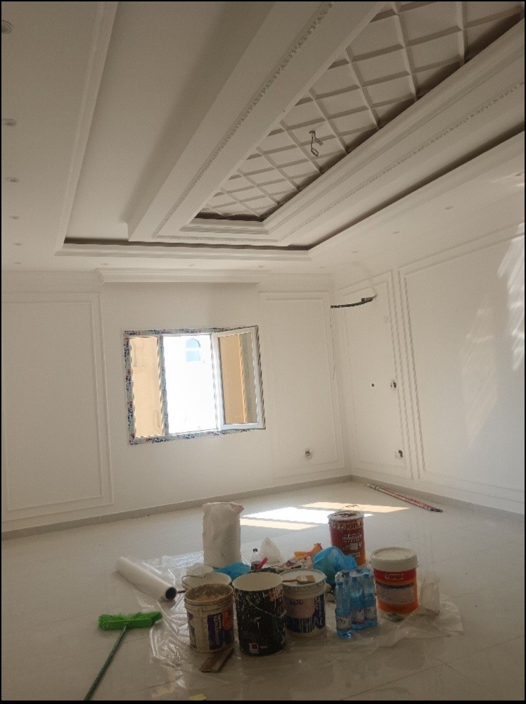 gypsum and paint - 11