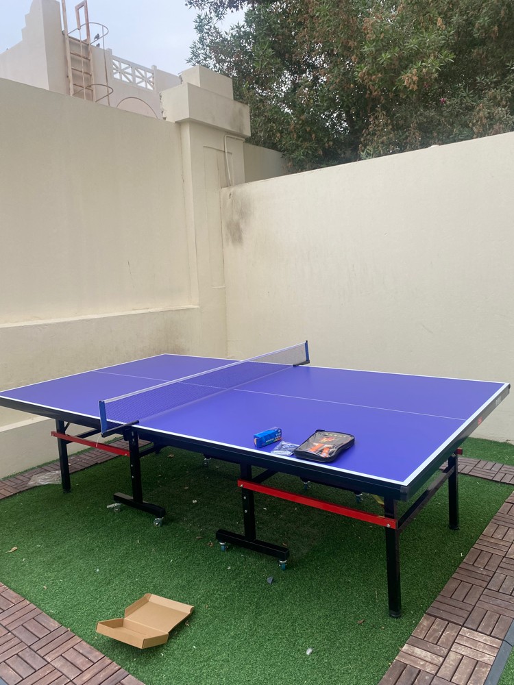 Tennis Table - 1