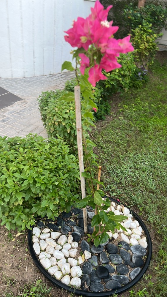 تاسيس شبكات ري - 3