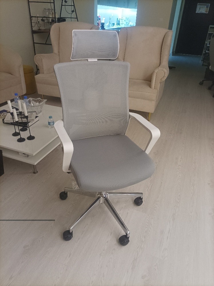 Manager office Chairs (brand new) - 12