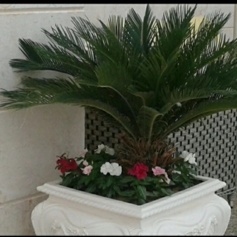 مهندس زراعي - 3