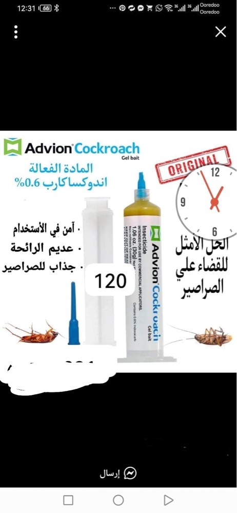 معصار الصراصيرالابره الامريكيه  - 1