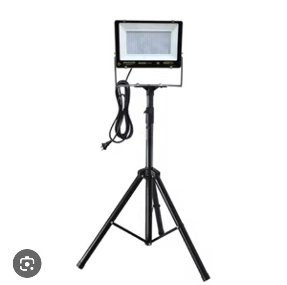 100 w. plood light and stan - 1