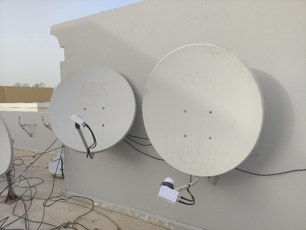 dish - 1