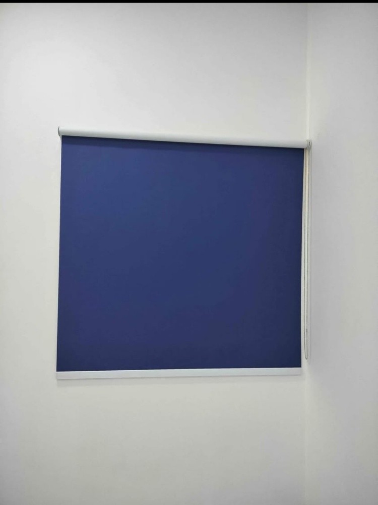 window blind - 1