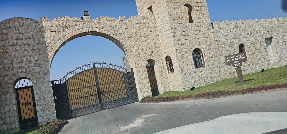 stone work - 3