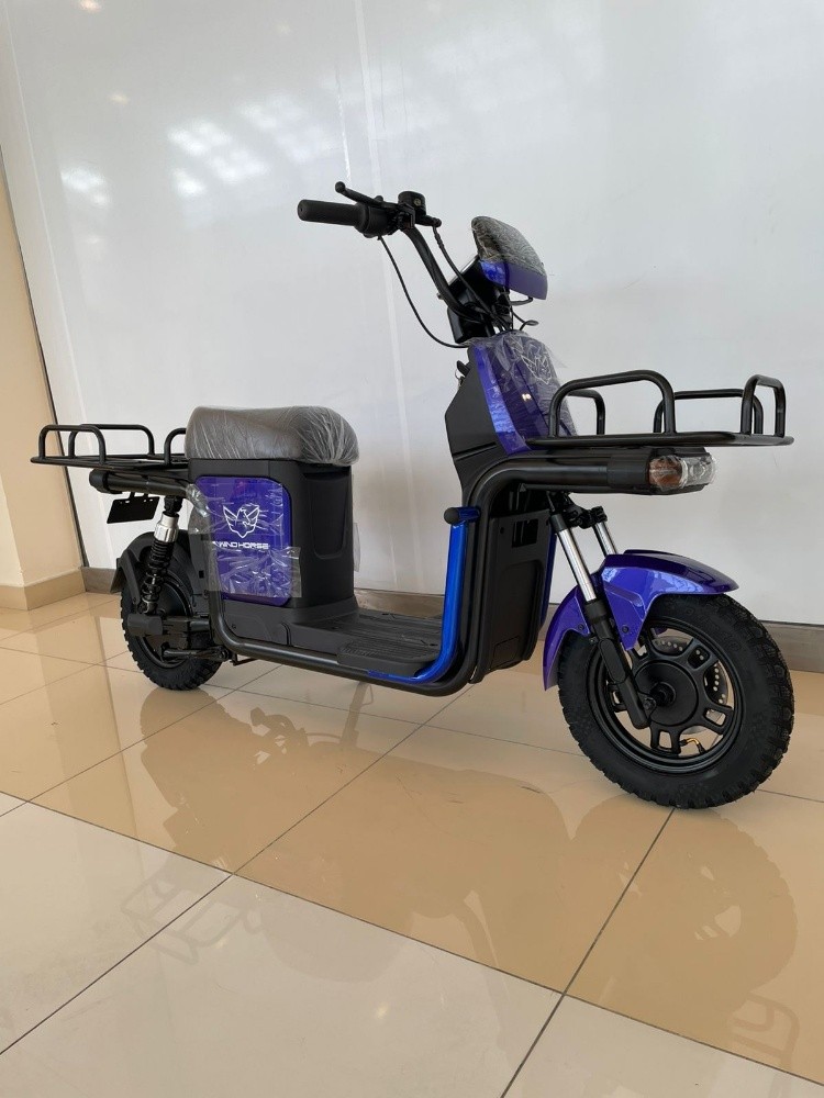 E BIKE SCOOTER 60 V - 1