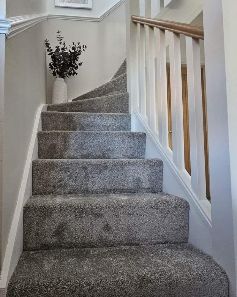 Carpet - 8