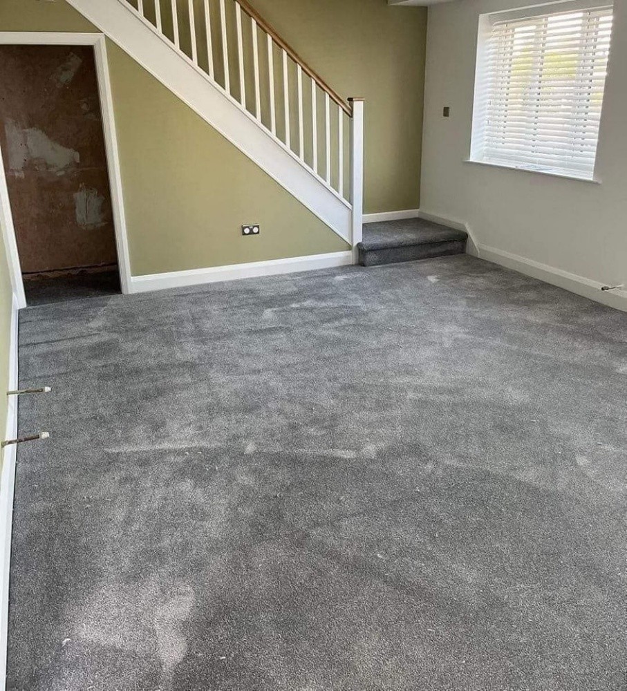 Carpet - 10
