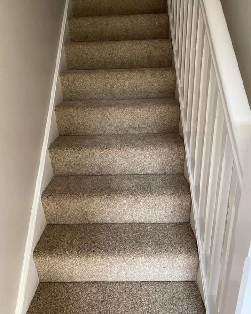 Carpet - 4