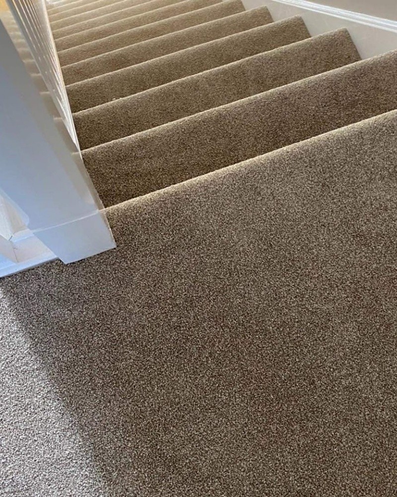 Carpet - 9