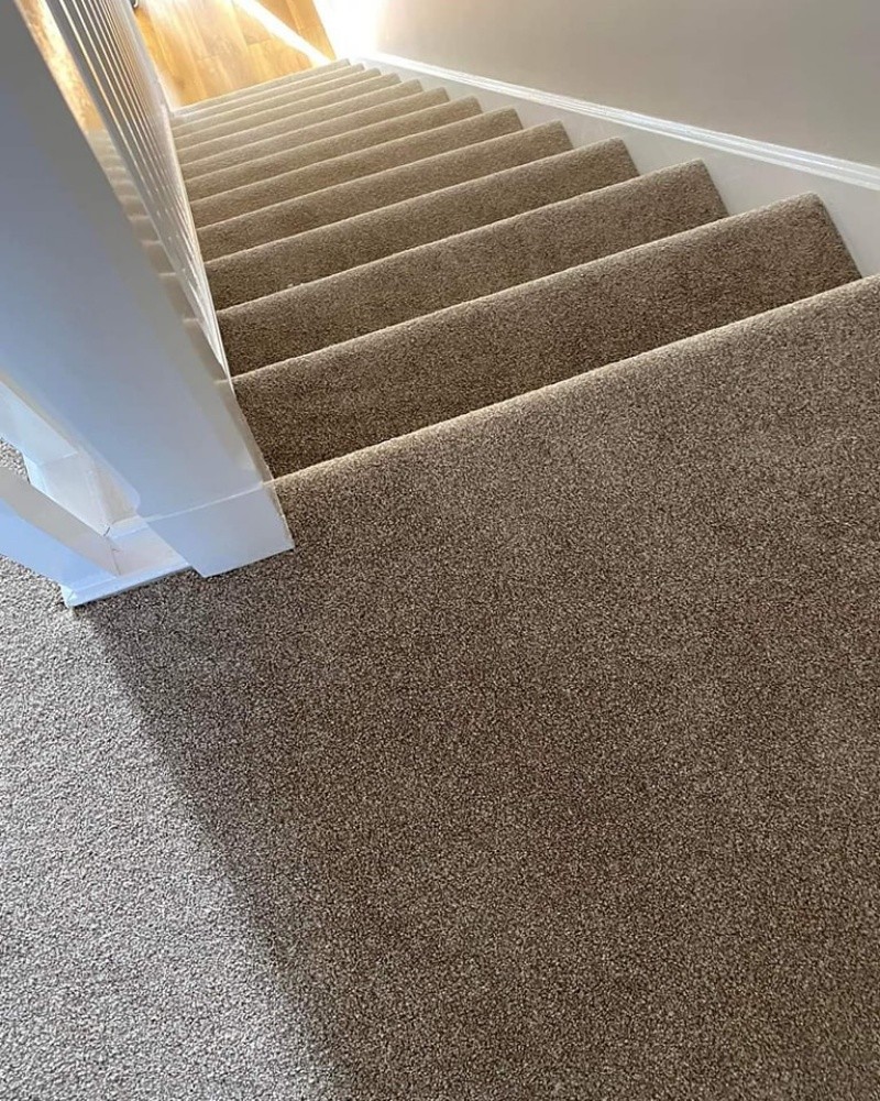 Carpet - 7