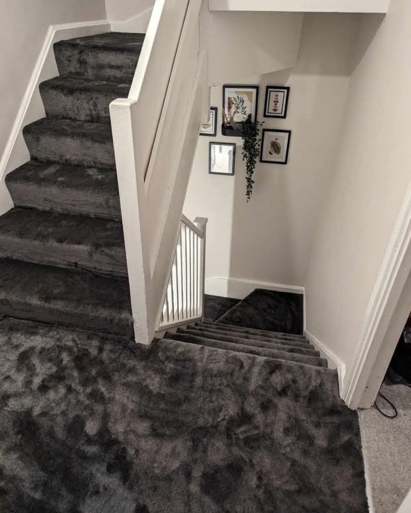 Carpet - 2