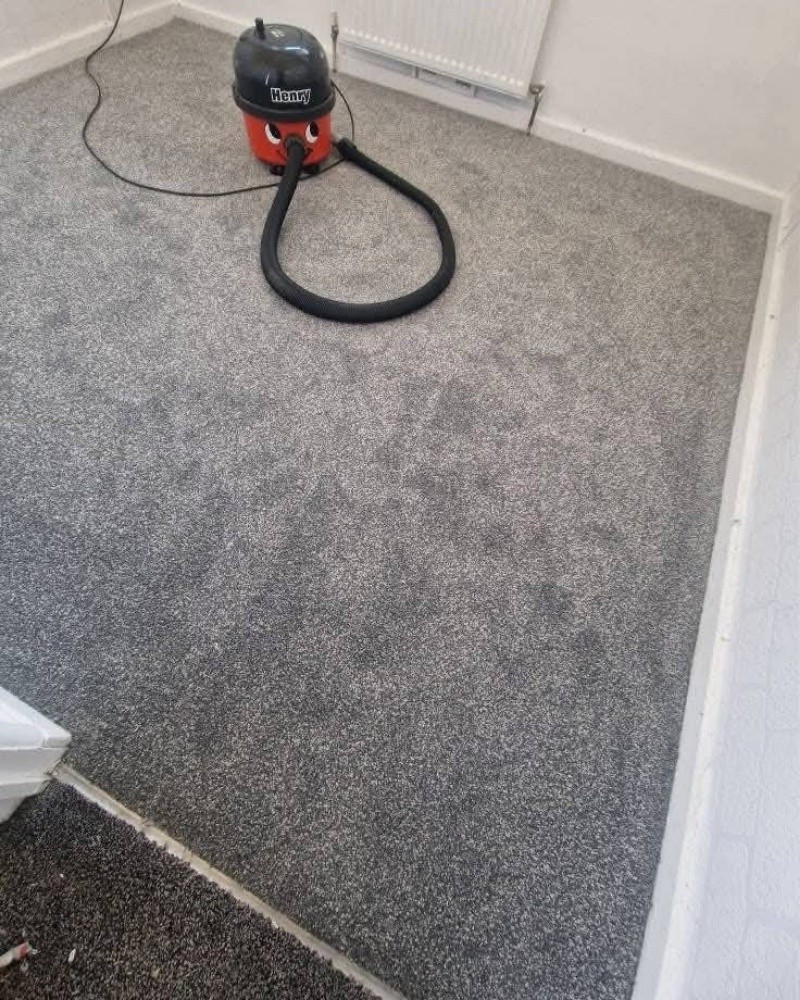 Carpet - 3