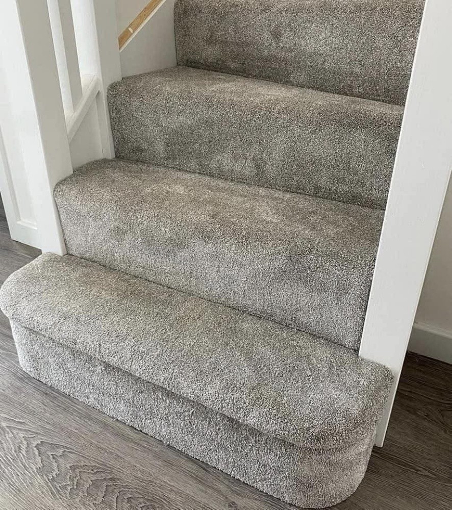 Carpet - 5