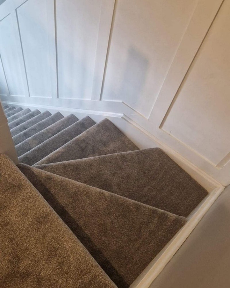 Carpet - 4