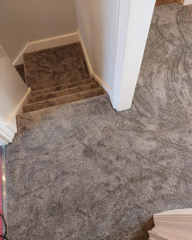 Carpet - 5