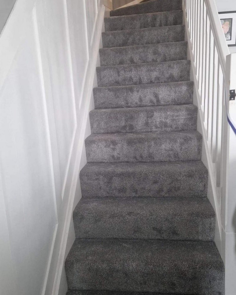 Carpet - 7