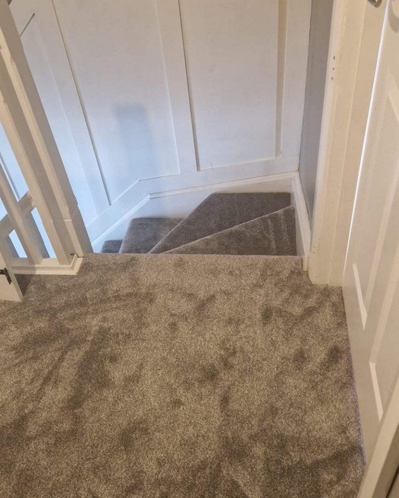 Carpet - 8