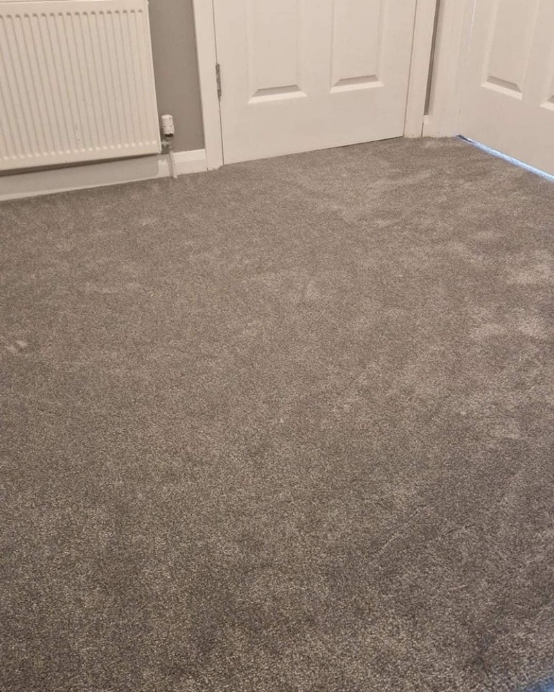 Carpet - 2