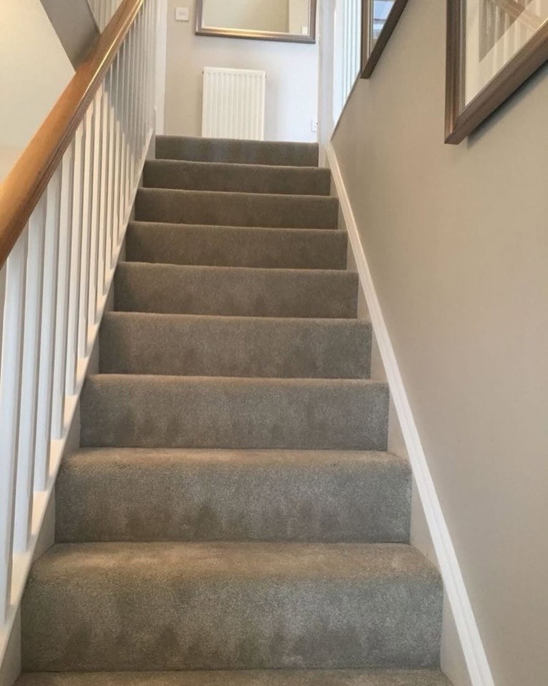 Carpet - 8