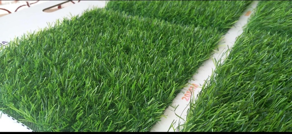 Grass Carpet / Carpet - 1