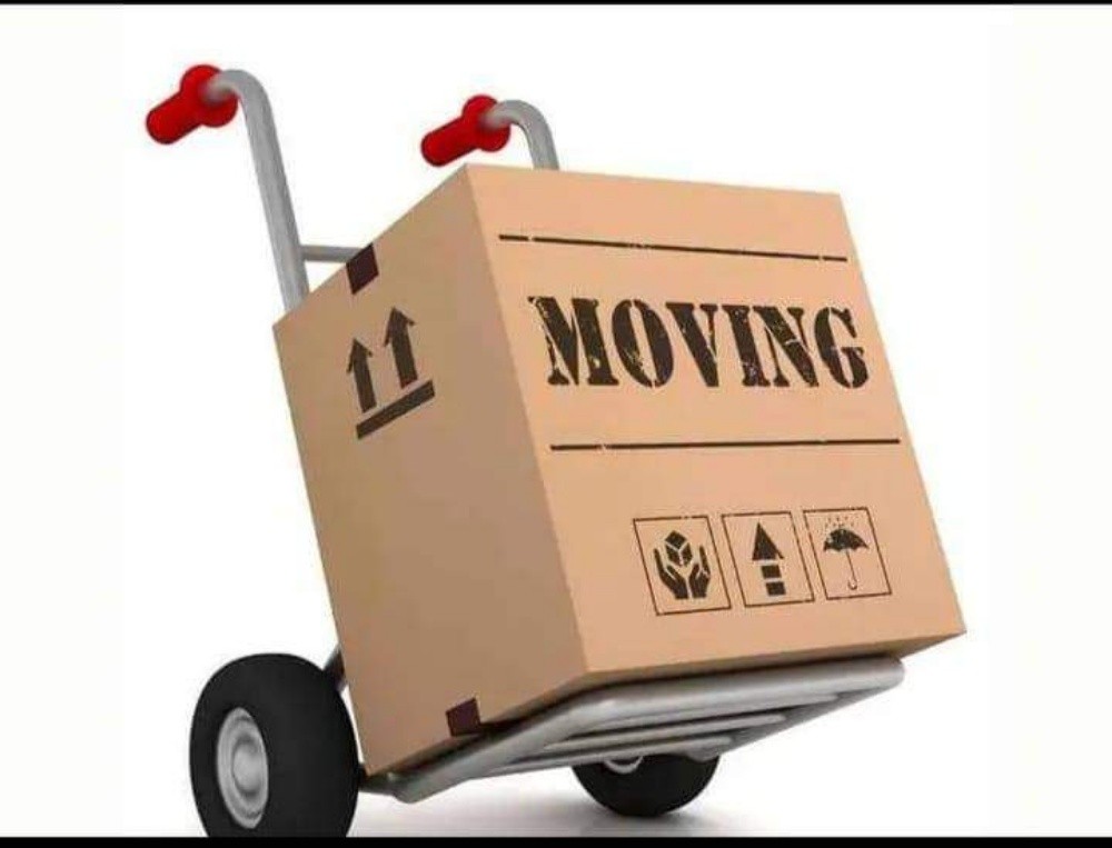 Transport and Moving services - 2