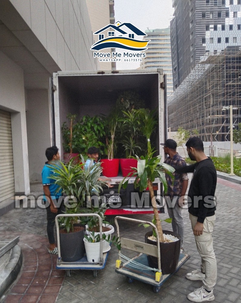 packing & moving Sifting service - 5